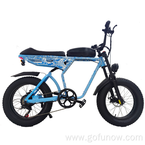 500W 48V 20AH Powerful Mountain Electric Bicycle